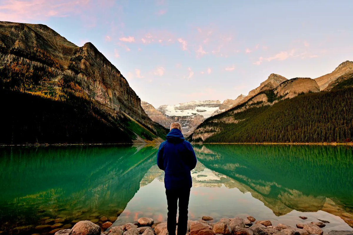 Dave Tonge tweet media