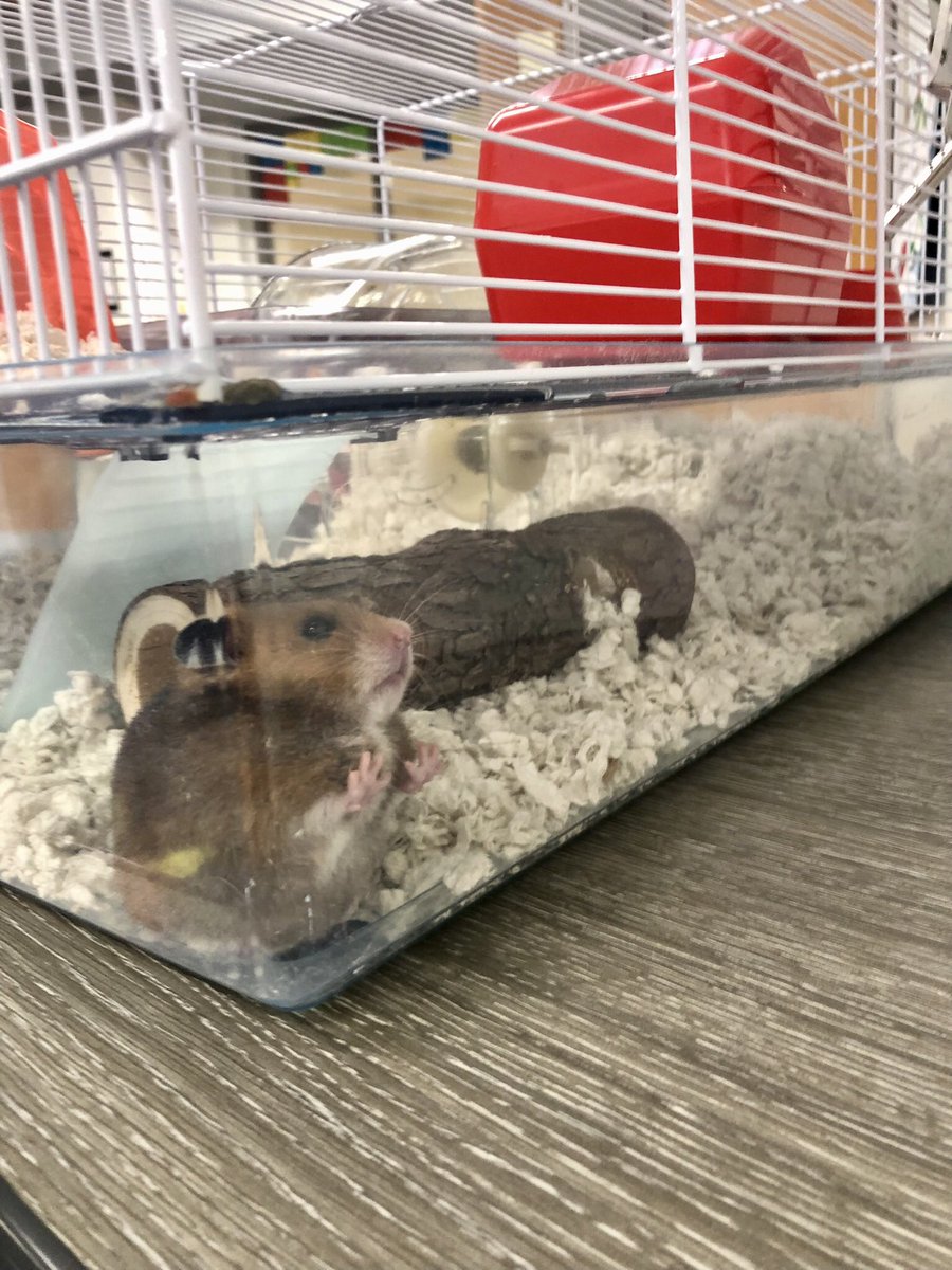 Meg Irwin tweet media