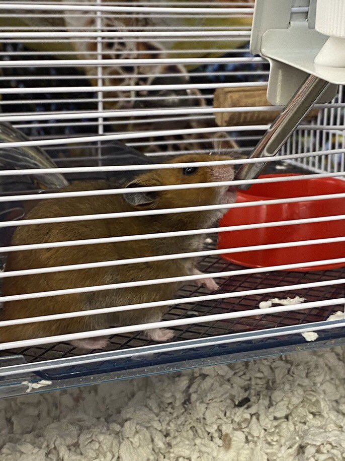 Meg Irwin tweet media