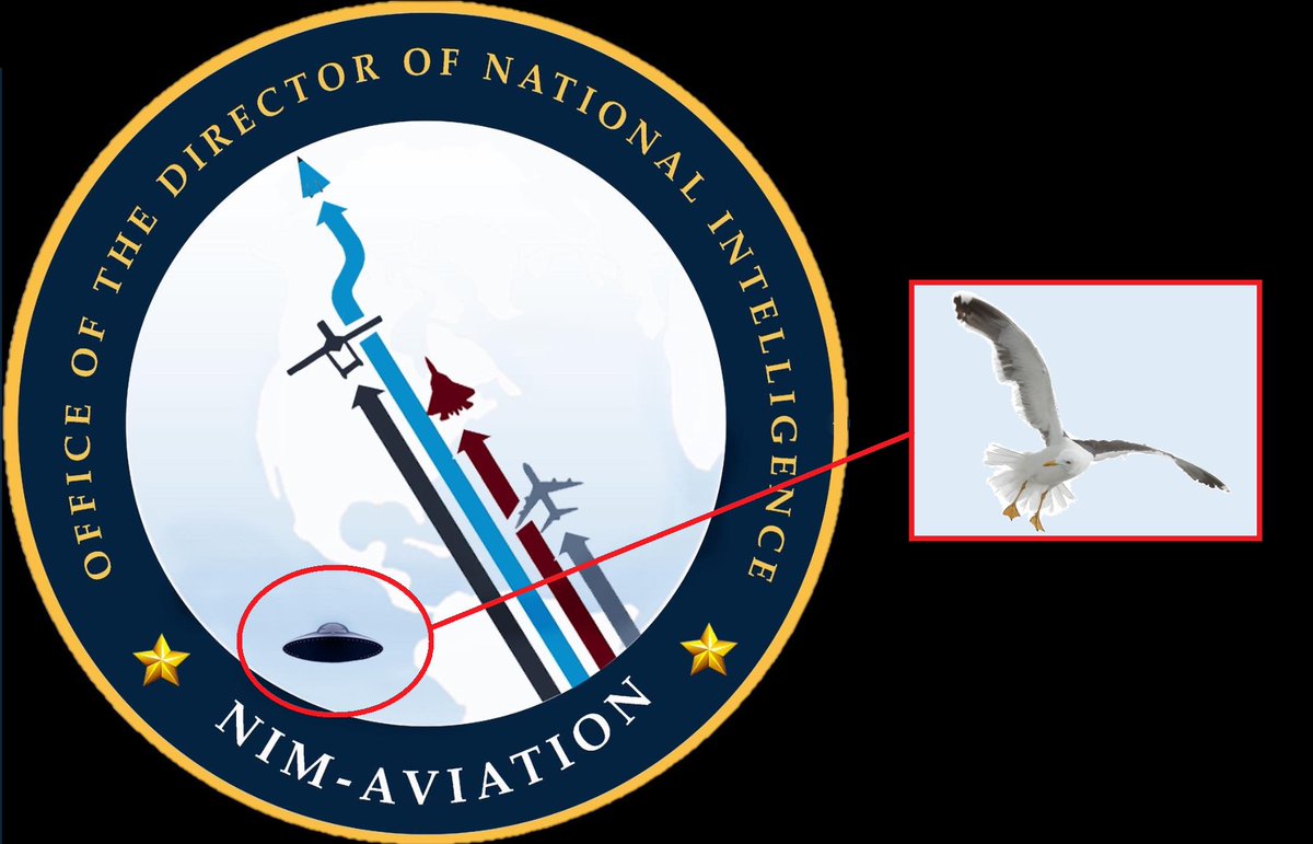 Wow! Did anyone bother to zoom in on that UFO? No wonder <a href="/MickWest/">Mick West</a> is skeptical
#ufotwitter
<a href="/MiddleOfMayhem/">Steven Greenstreet 🐷</a>
<a href="/theblackvault/"></a>
<a href="/LueElizondo/">Lue Elizondo</a>
<a href="/GarryPNolan/">Garry P. Nolan</a>
<a href="/JeremyCorbell/">Jeremy Kenyon Lockyer Corbell</a>
<a href="/TxUFOSightings/">UFOJane 🛸🕵🏻‍♀️</a>
<a href="/uncertainvector/">Ryan Graves</a>
<a href="/papercrane111/">纸Crane</a>
<a href="/mintyhyperspace/">Sean Cahill</a>
<a href="/TheUfoJoe/">Joe Murgia</a>
<a href="/GLURPtheAlien/">GLURP</a>
<a href="/LuAngeles/">Lu</a>
<a href="/rosscoulthart/">Ross Coulthart</a>