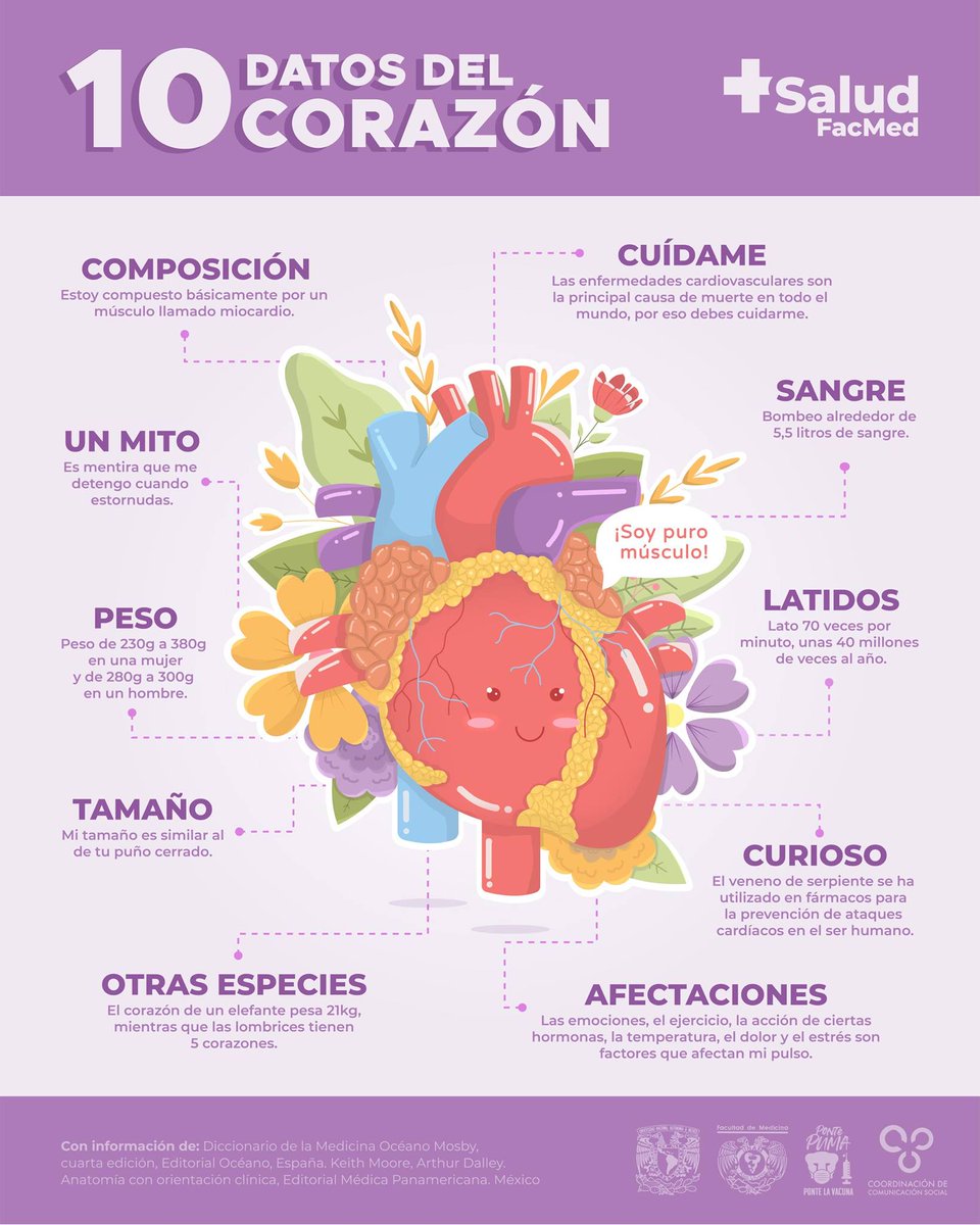 ¿Cuánto pesa nuestro corazón?, ¿cuántas veces late en un año?, ¿Cuánta sangre bombea? En el marco del #DíaMundialDelCorazón 🫀 te platicamos 10 datos importantes de este órgano