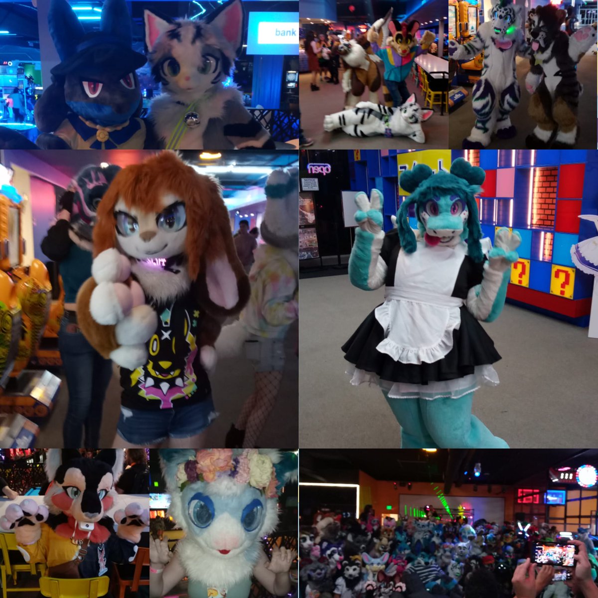 surferbrg's tweet photo. Yep put together this collage of some of the fursuits I saw at the furmeet. Was nice seeing ones I haven't seen in a long time and nice to meet more of the fursuiters.
#cosplayer #cosplay #furry #furryfandom #fursuit #fursuiter #furries #furmeet #socalfur #expbarcadia #barcade https://t.co/W9NQyMbM1o