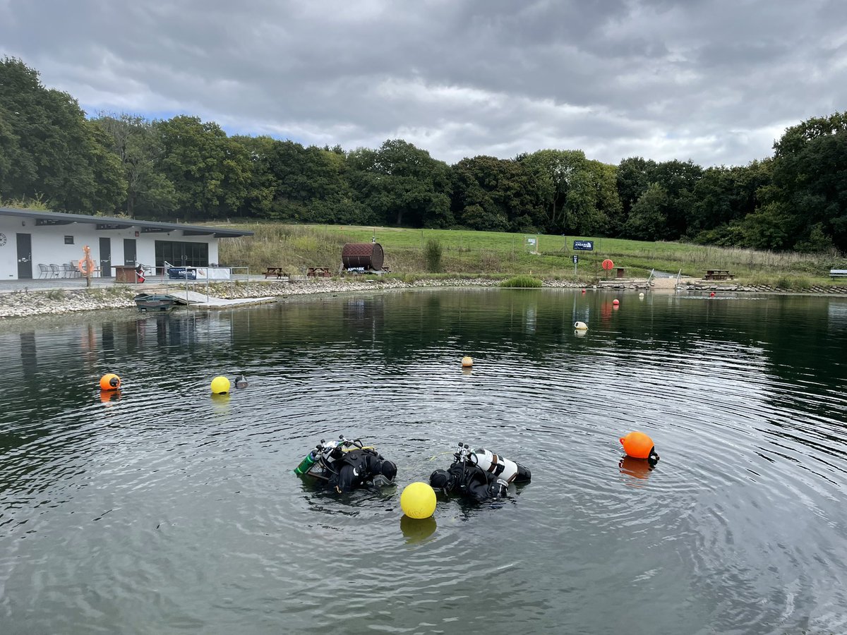 Bonner Lab tweet media