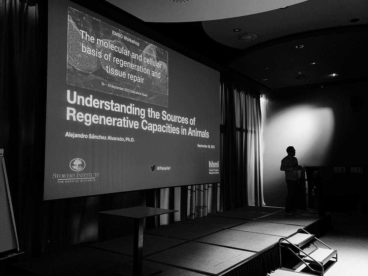 eric roettinger (@ericrottinger) on Twitter photo Welcome to the #EMBORegeneration2022 in Barcelona! First day with a great opening talk from <a href="/BrigitteGalliot/">GALLIOT</a> stimulating presentations from selected speakers as well as an exciting keynote from <a href="/Planaria1/">A. SĂĄnchez Alvarado</a>!
<a href="/BeckerLabCRTD/">Becker Lab CRTDresden đ·</a> <a href="/MaxYunLab/">TheYunLab</a> <a href="/Ken_Poss_Lab/">Ken Poss</a> Yuval Rinkevich Welcome to the #EMBORegeneration2022 in Barcelona! First day with a great opening talk from <a href="/BrigitteGalliot/">GALLIOT</a> stimulating presentations from selected speakers as well as an exciting keynote from <a href="/Planaria1/">A. SĂĄnchez Alvarado</a>!
<a href="/BeckerLabCRTD/">Becker Lab CRTDresden đ·</a> <a href="/MaxYunLab/">TheYunLab</a> <a href="/Ken_Poss_Lab/">Ken Poss</a> Yuval Rinkevich