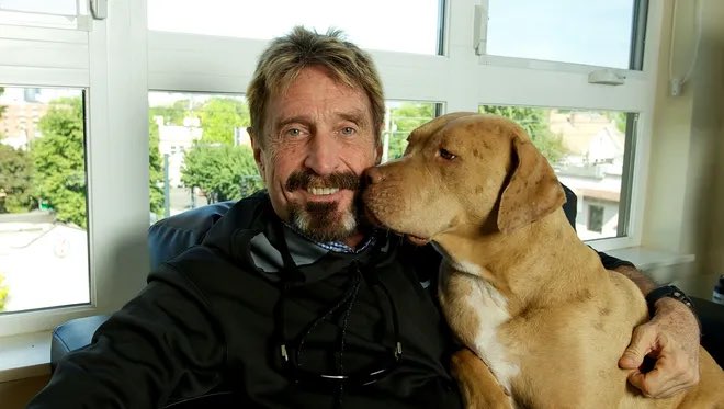 bonniegrrl's tweet image. After watching the @netflix documentary Running With the Devil - The Wild World of John McAfee, I honestly don’t care about any of the humans in the story. Just McAfee’s dogs. What happened to the dogs he was on the run with? 🐶 🐺 #RunningWithTheDevil #JohnMcAfee
