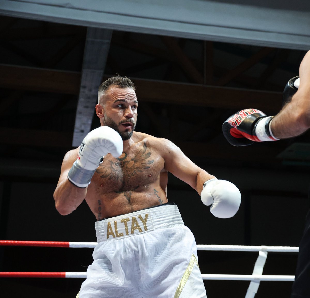 🇩🇪„Nicht die Menschen, die immer gewinnen sind die stärksten, sondern die die niemals aufgeben.“

🇹🇷 "En güçlüler her zaman kazananlar değil, asla pes etmeyenlerdir."

Fotograf: @torstenhelmke 

#fyy #viral #tutorial #foryou #cool #kesfet #benikeşfet #fyp #4u #hamburg