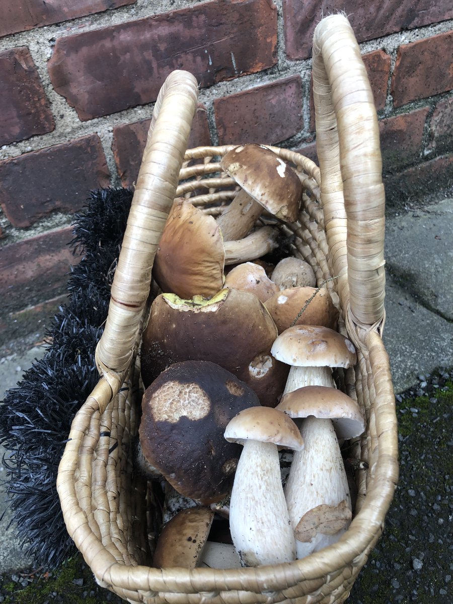 David Lydall tweet media