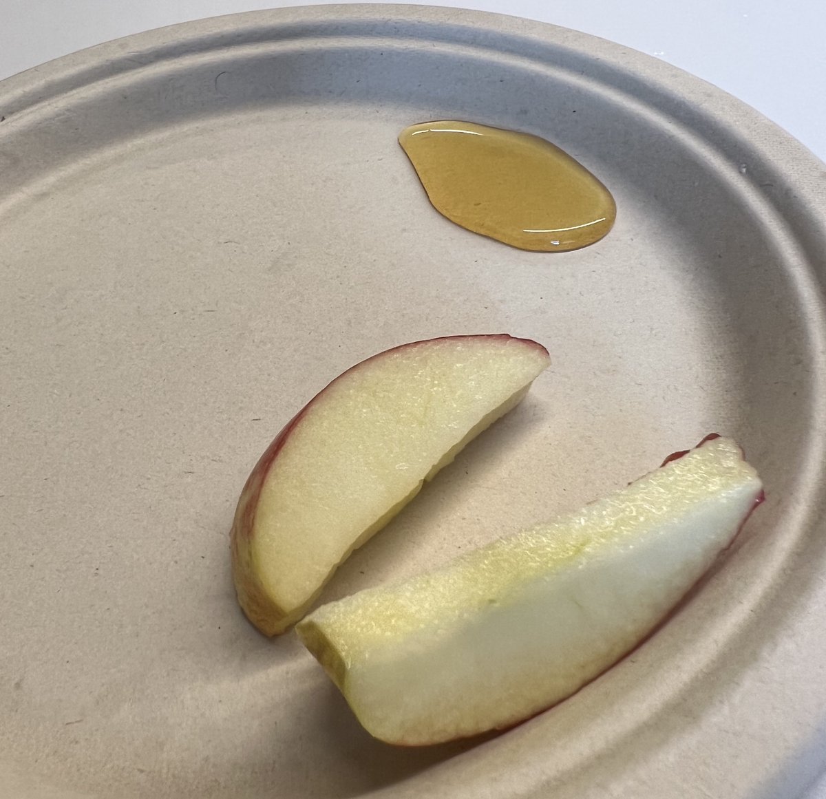 L'shanah tovah to all who celebrate Rosh Hashanah. As we explore the many backgrounds and experiences within our community, Langley Librarian  <a href="/AnnieTheLibrar1/">Ms. Lyon</a>  visited the  Zebras Kindergarten class to share the tenets of the Jewish new year with students. #celebrateourstory