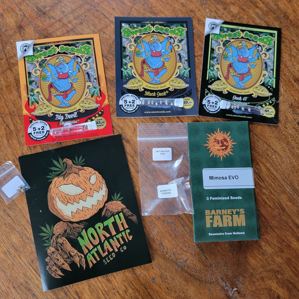 FatBoyFarms's tweet photo. Next project delivered! Thank you #NorthAtlanticSeedCompany for always coming through with some quality freebies!!
#CannabisCommunity #weedlife #420Life https://t.co/RAnVZpiQs0