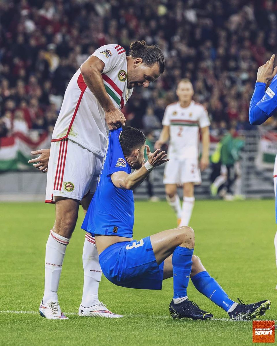 Hystu1's tweet photo. @Azzurri_En https://t.co/IjF8CEvDBq