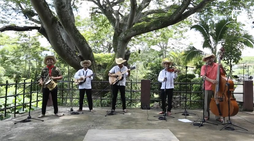 patrimonio_mex's tweet photo. Te invitamos a disfrutar de la música de #TierraCaliente interpretada por el grupo #Amatl, quienes se han dedicado a compartir la esencia de la zona sur de nuestro país y recordarnos que, las costumbres y tradiciones también se bailan. 

▶️https://t.co/GSRG05Q08p https://t.co/hH5MqCs0BG