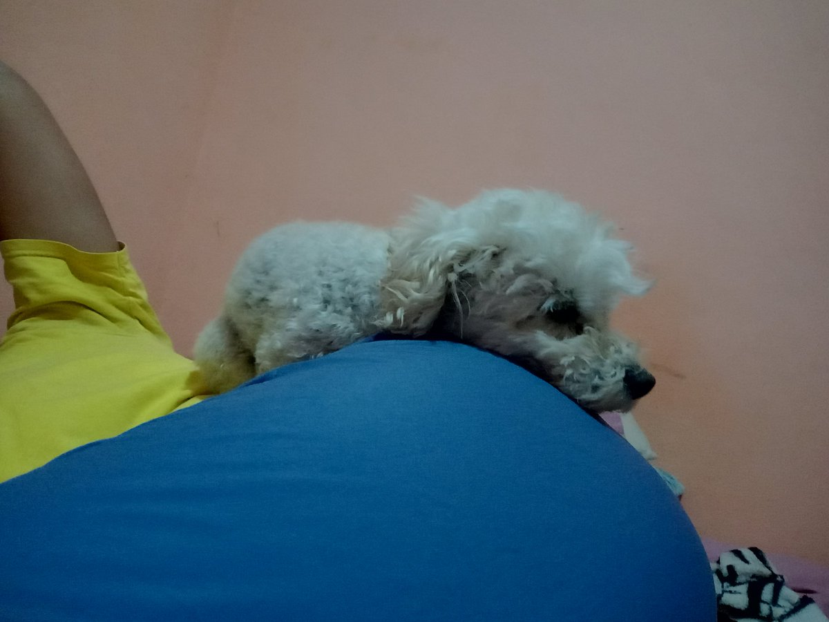 FattiVera's tweet photo. 8 años cumple hoy, te amo mi Meme, compañera de vida, la relacion más larga que la vida me va a dar, estoy segura jajaja https://t.co/UqcCrH9tqZ