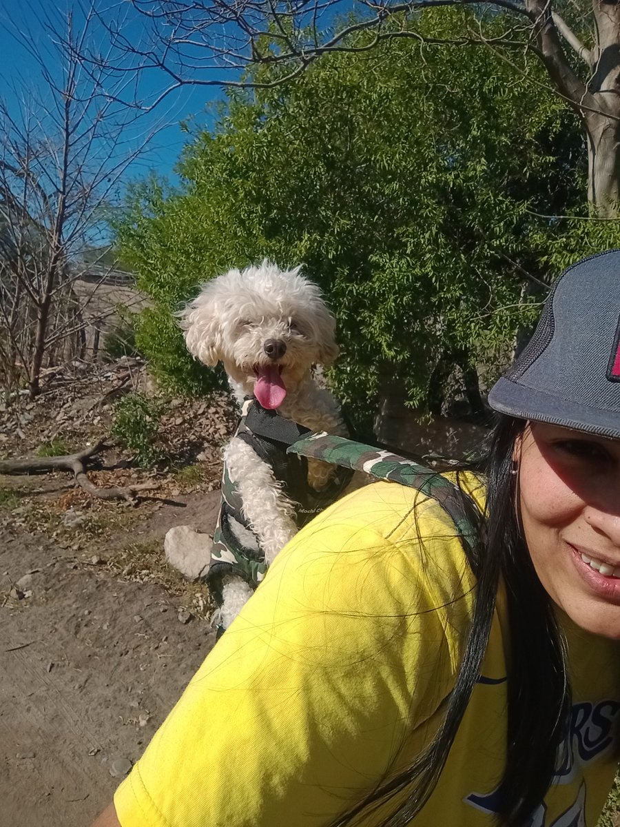 FattiVera's tweet photo. 8 años cumple hoy, te amo mi Meme, compañera de vida, la relacion más larga que la vida me va a dar, estoy segura jajaja https://t.co/UqcCrH9tqZ