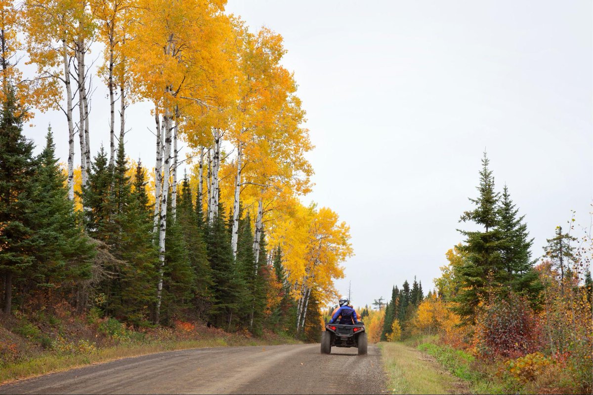 Who loves riding in the fall? 🙌 Soak up all those beautiful autumn colours on a trail near you!