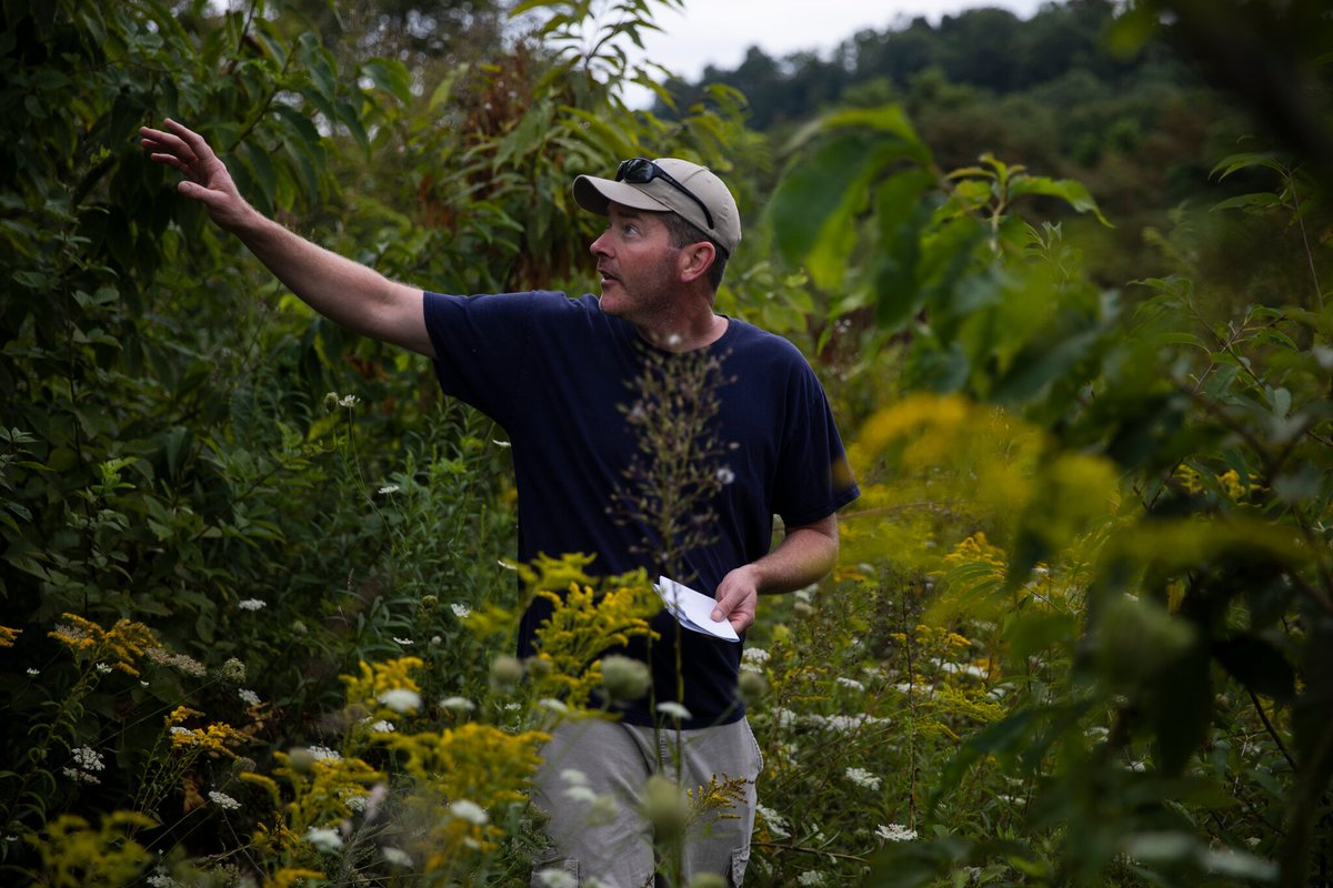 CaraSantaMaria's tweet photo. At old coal mines, the American chestnut tries for a comeback. 🌲
#CoalMines #Trees #Nature #ChestnutTrees #Conservation
https://t.co/ZLSqGRGrA8 via @nytimes https://t.co/BUP24koFf9