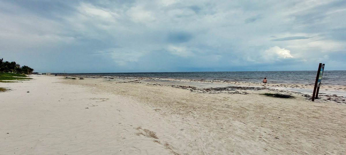 InPuertoMorelos tweet media