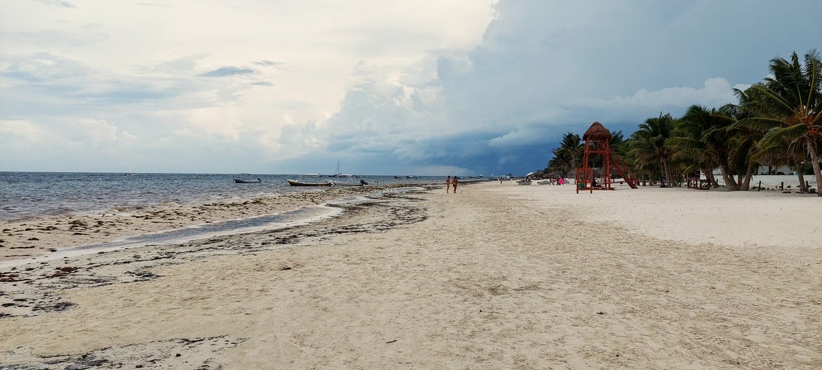 InPuertoMorelos tweet media