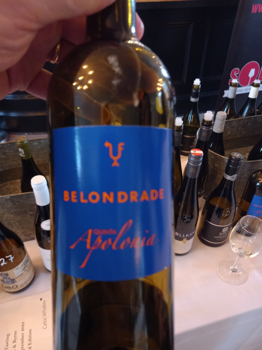 Liam3494's tweet photo. Second tasting of the day at @wars_wine . Topped off by the @FamiliaZuccardi #PiedraAltamira #Gravascal Thanks to @Solera_Wine @MackenwayWines @Celticwhiskey and #Maccormaics for putting it all together. Great to meet up with @jules_mahon after an age @trishnunan @Sinead_Smyth_ https://t.co/lZb1iDaXpL