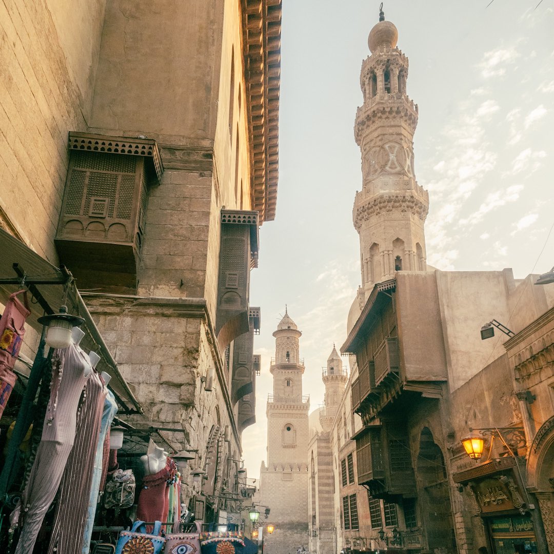 gorkanelson's tweet photo. GN, Egypt 🐪🪲 https://t.co/Tfg6obpQMu