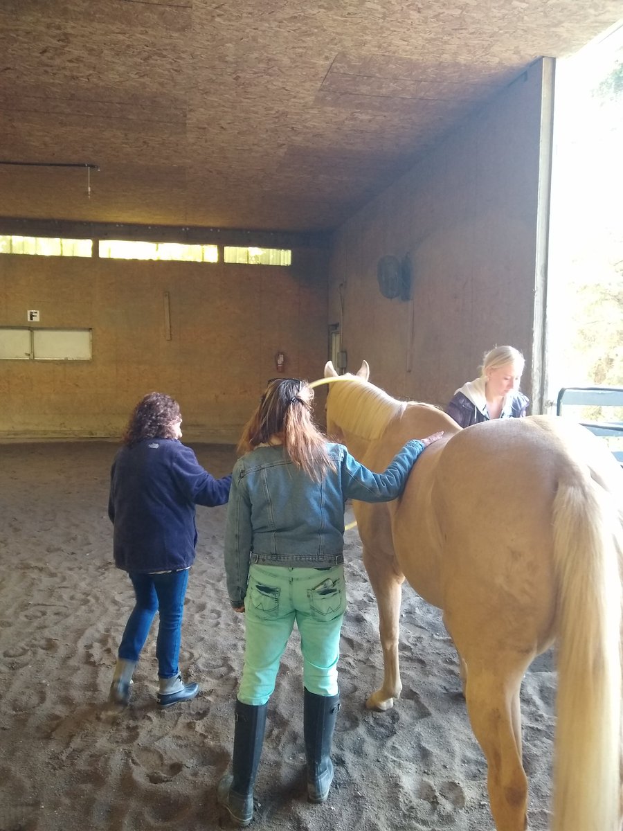 Barry Ward (@mr_barryward) on Twitter photo Thanks to the team <a href="/DreamsHorseback/">Dreams on Horseback</a> for leading PD for our <a href="/napls_ps/">New Albany Primary</a> staff. Building teamwork, trust, and communication. Thanks to the team <a href="/DreamsHorseback/">Dreams on Horseback</a> for leading PD for our <a href="/napls_ps/">New Albany Primary</a> staff. Building teamwork, trust, and communication.