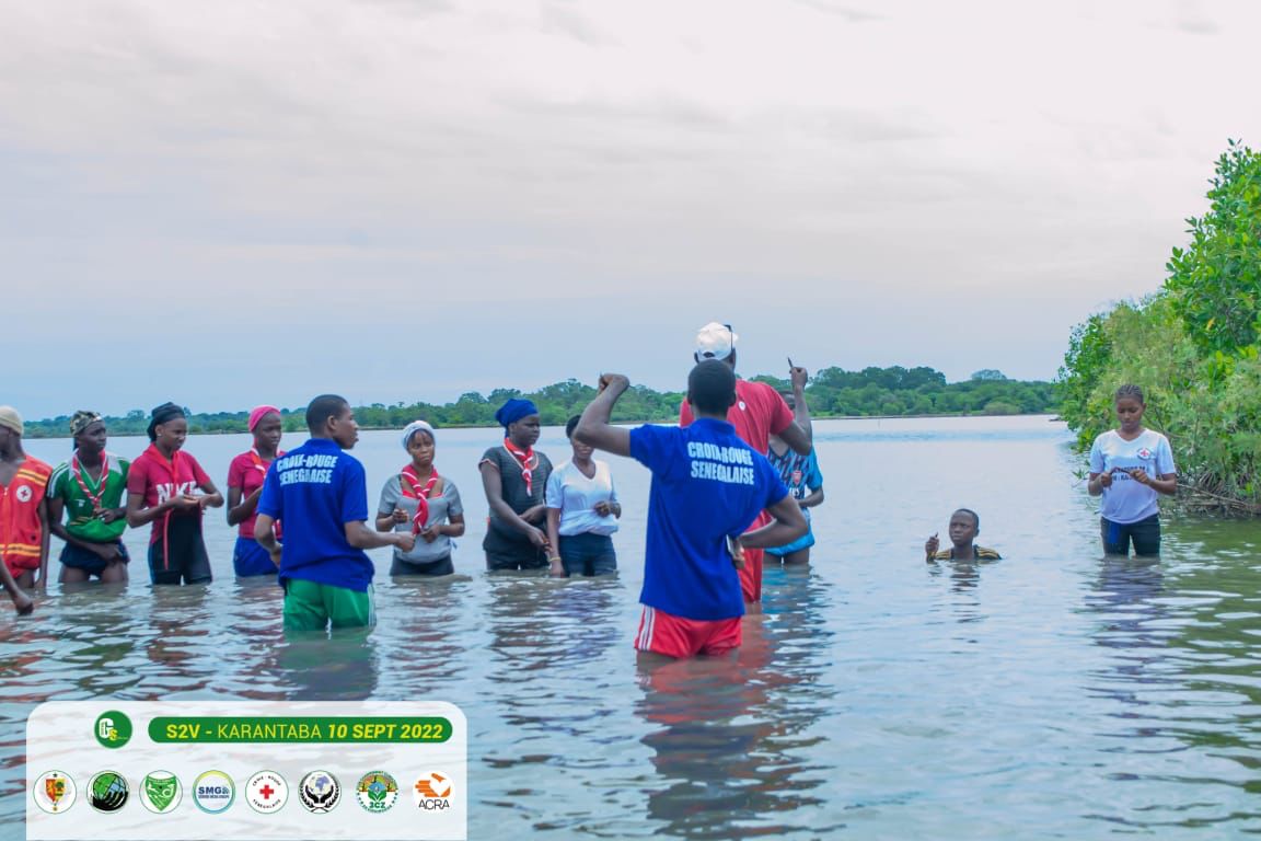 CRS_Sdh's tweet photo. Reboisement de mangroves 
@CICR_es
@CRS_Sdh  @CSenegalaise https://t.co/DjHpa1rEyJ