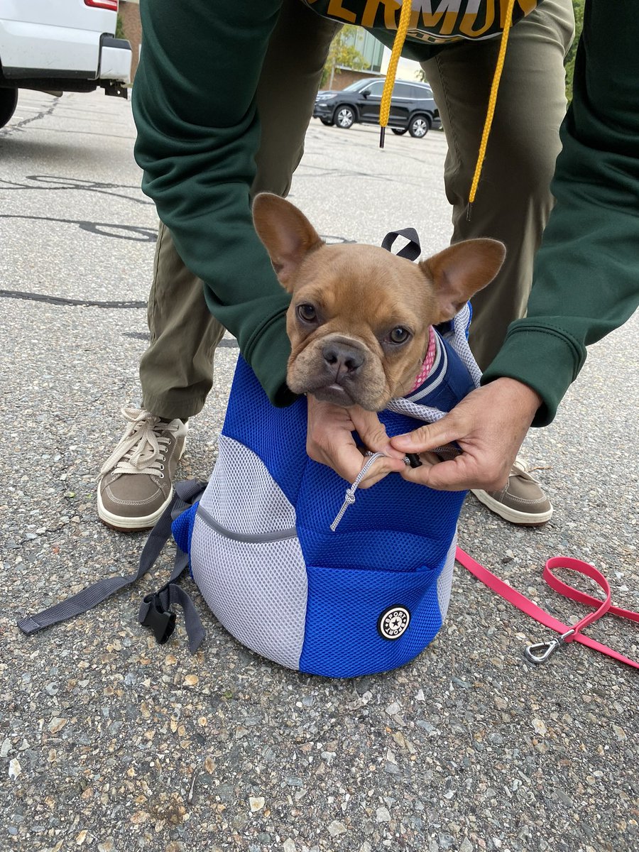 revsuzanne's tweet photo. New fan for @UVMwsoccer #pippi #Boss9 https://t.co/1qtjqt731I