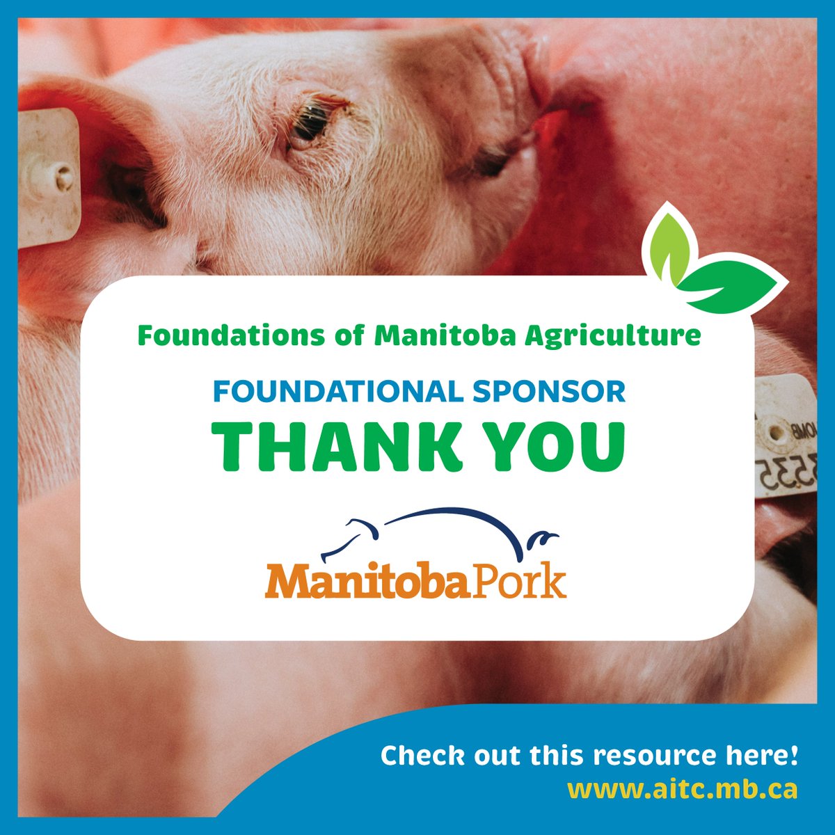 aitcmb's tweet photo. Thank you, @ManitobaPork, for being a Foundational Sponsor of our #FoundationsOfMBAg Virtual Resource Hub! Your support helps students understand the journey pork takes from farm to plate: https://t.co/72k5LymP1d

Thank you, @PeakoftheMarket, our '22 Presenting Sponsor.

@MBGovAg https://t.co/DR0SsHYcAY