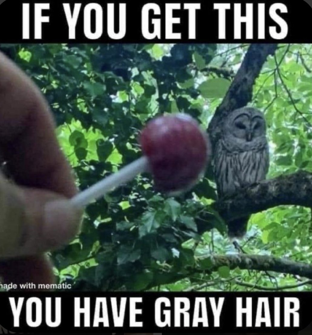 ChiefsMoGrim15's tweet photo. I don’t get it! 😏🤣🤣 https://t.co/Cv0M4Z4Pmk