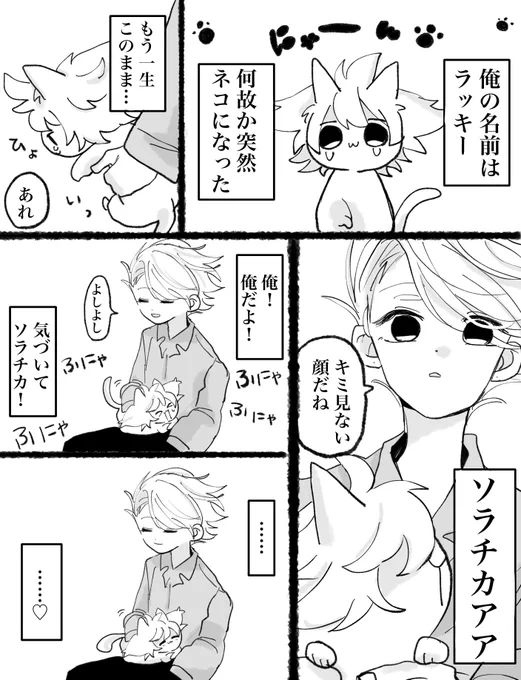 にゃん 