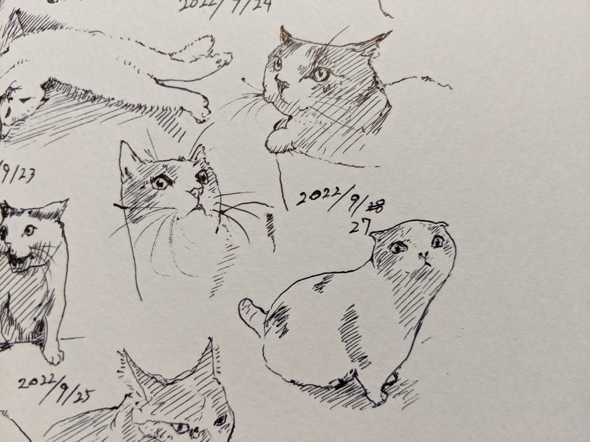 倒れるまで走るくらい熱く生きてみたいから バニハー カキカキ。 