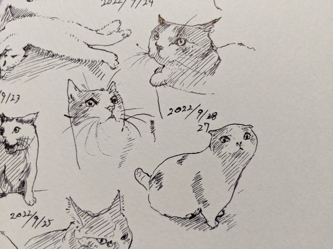 倒れるまで走るくらい熱く生きてみたいから バニハー カキカキ。 