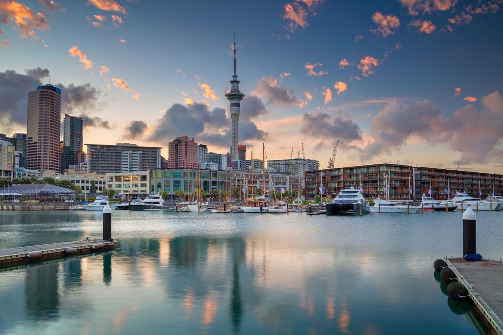 VIPTravlr tweet picture