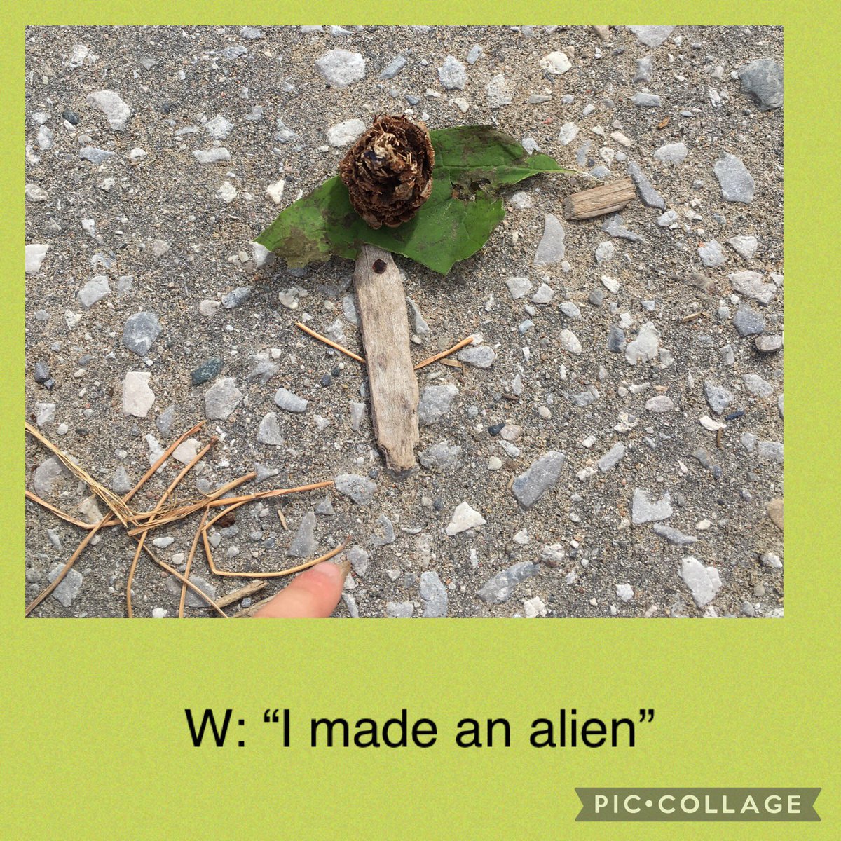 MRichaudaud's tweet photo. Impromptly art session during lunch recess: Ss gathered nature items, shared them and created images. Amazing creativity and collaboration! #room6 #natureitems #creativity @EarlHaigPS @EarlyYearsTDSB https://t.co/ZS5o9mKyUt