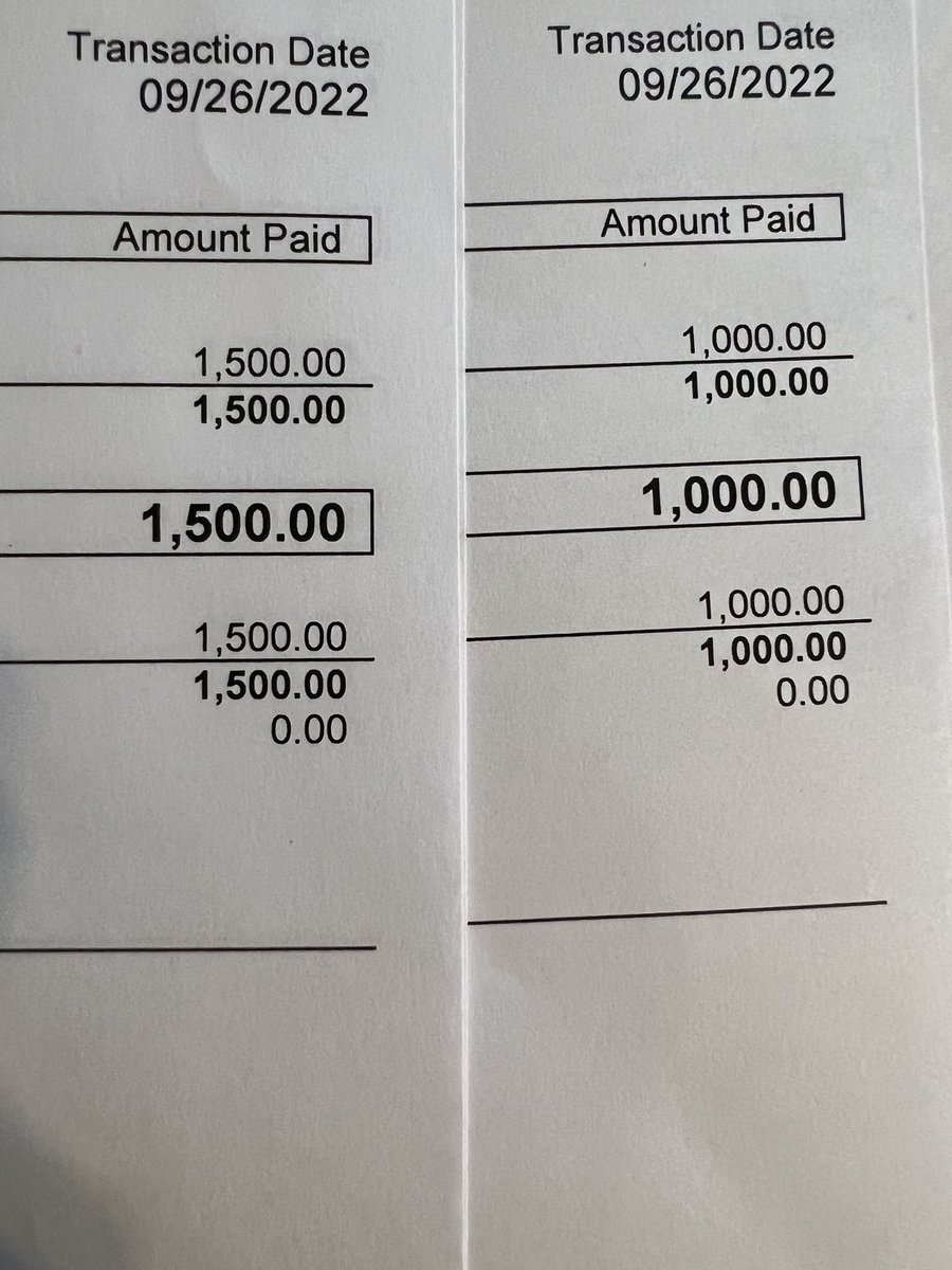Denton Bail Fund tweet media
