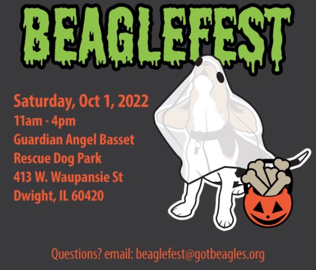 oliverpbeagle's tweet photo. We're pleased that Oliver will be attending @MWBeagleRescue Beaglefest in Dwight, IL, this Saturday, Oct 1, from approx 12PM- 2PM. If you're around, come say hello. Find out more about it here!  https://t.co/iC5jYq5W9P https://t.co/3PxmOGPriC