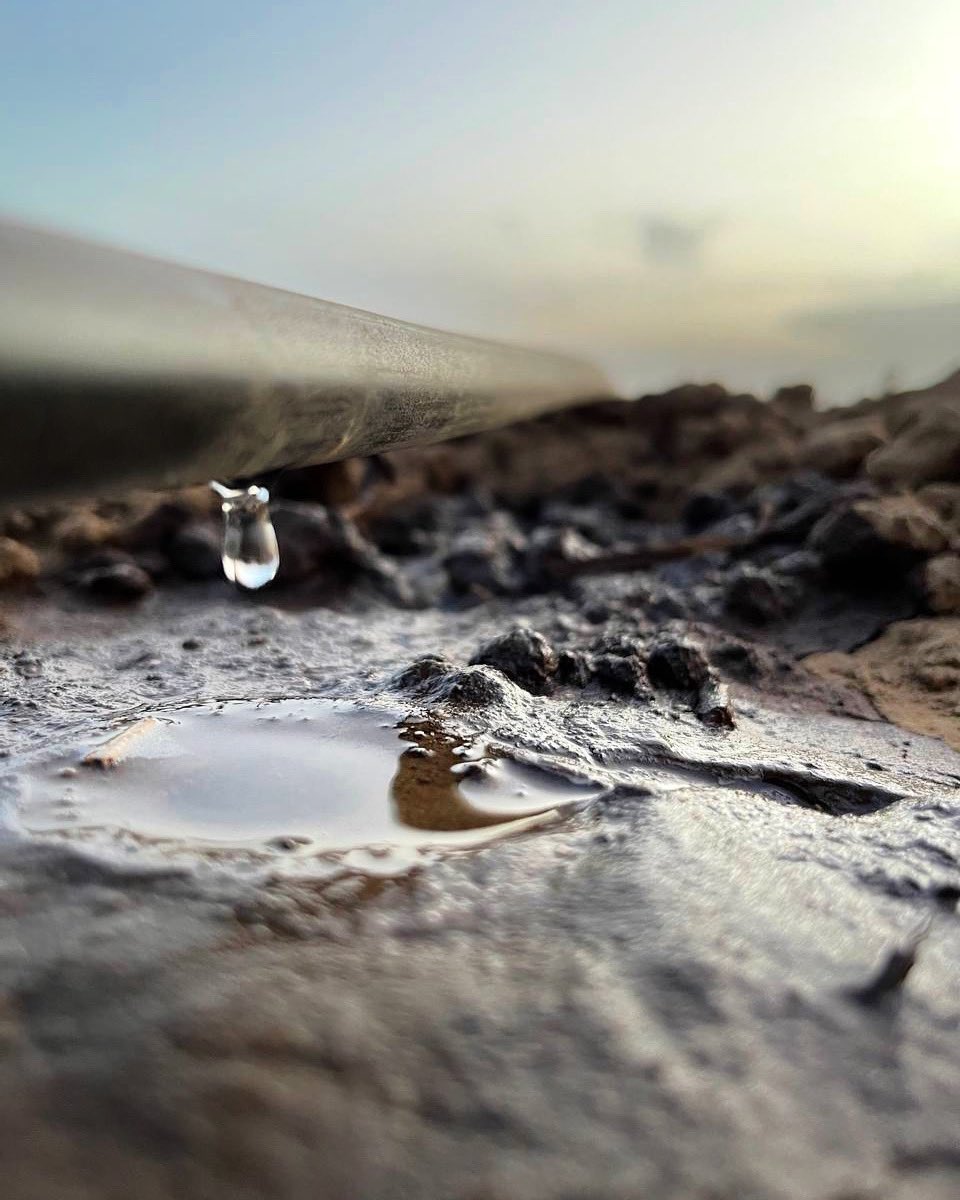 aic_vzla's tweet photo. ¿Sabías que un adecuado sistema de riego suministra la cantidad necesaria de agua a nuestro cultivo? 💦  

Con este método trabajamos en #FincaLaMula para suministrar el agua y los nutrientes necesarios a nuestros suelos y que así crezcan correctamente💧🙌🏻  

#AgroInsumosCapital https://t.co/jwbPnZ1o31