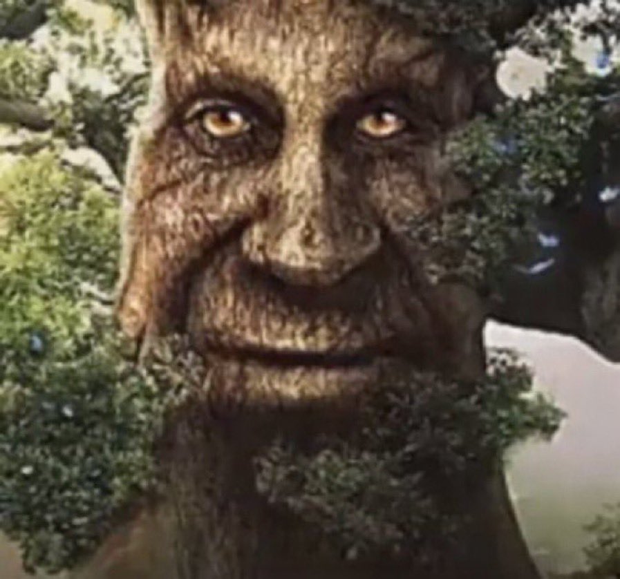 Termite100's tweet photo. Who’s down to devour the wise tree? https://t.co/ThMgHRpgTx