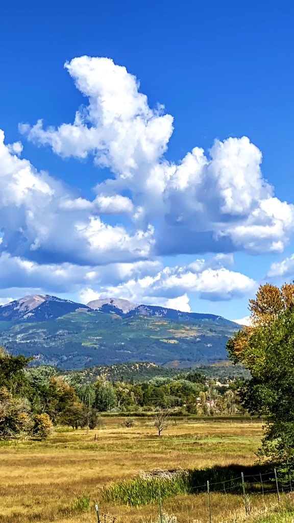 PurlsAndPixels's tweet photo. Colorado fall is is starting! 
#GetOutside #ColoradoGold https://t.co/aolPbrTpP1