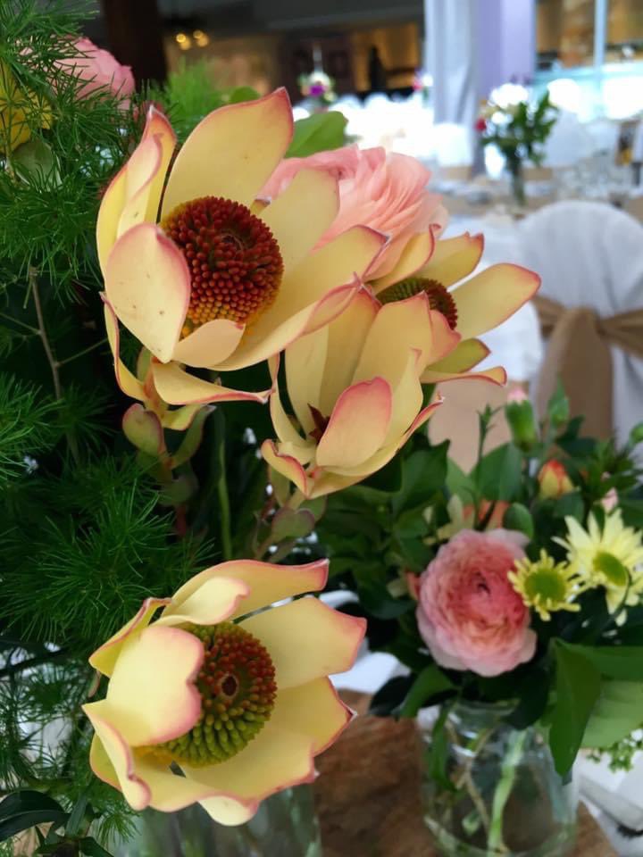 NatalieMoran20's tweet photo. Back to Winter again up here today, with a wet grey week ahead, lifting the mood with some colours of Septembers past…#formerlife #floristlife https://t.co/KVBGcIEe4p