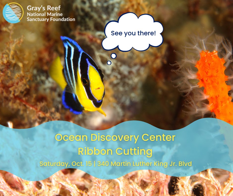 GraysReefNMSF's tweet photo. 18 MORE DAYS until the ribbon cutting for the new Ocean Discovery Center! 

Will we see you there?

📷Greg McFall/NOAA

@GraysReefNMS 
#SaveSpectacular https://t.co/p0ZkZ4Qm4C