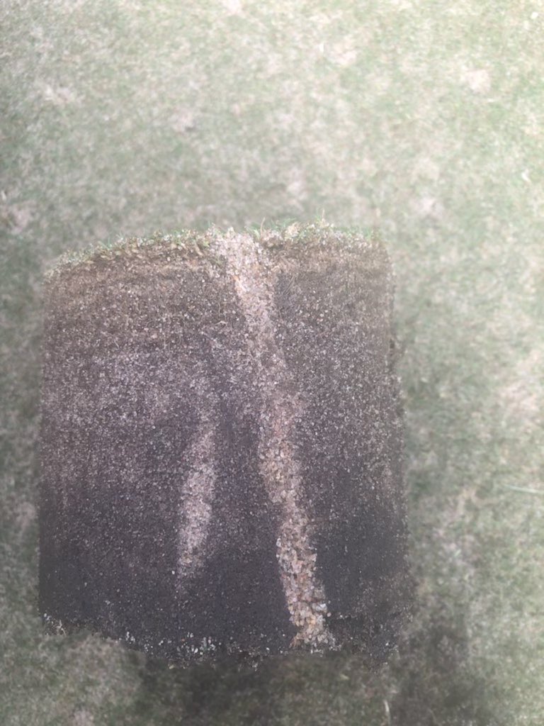 The day after greens look pretty good. A bit more brushing, fertilizer and some overseeding to help them for next year and they will good again next year