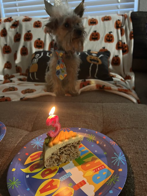Yesterday was my babies 3rd birthday! I really don&rsquo;t know what I would do without him! He is so full<a href="/tag/blackfriday"class="tags"><span>#blackfriday</span></a>