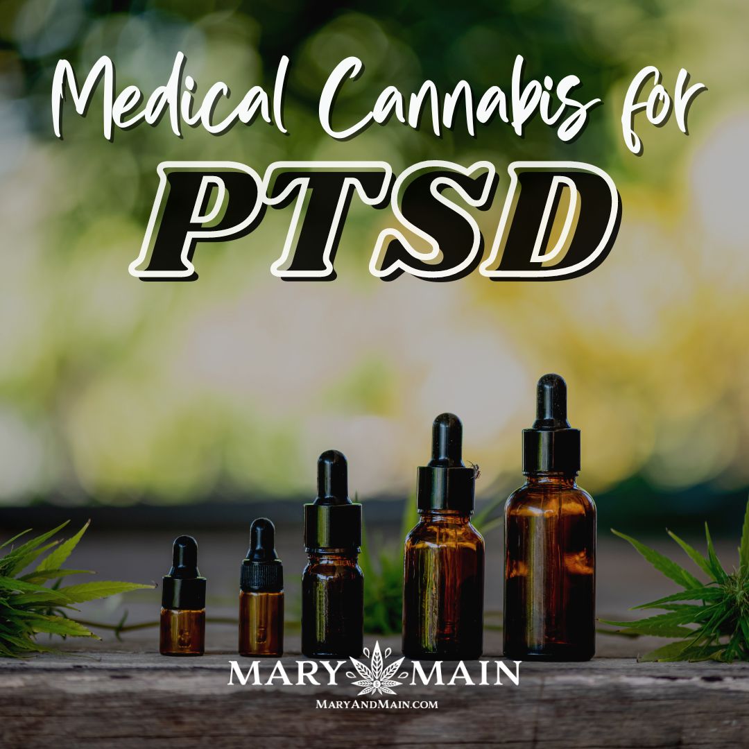 Studies increasingly show medical MMJ to be an effective treatment therapy for PTSD, and a safe alternative to SSRIs. To learn more visit maryandmain.com/cannabis-for-p… #maryandmain #health #ptsd #naturalptsdtreatment #ptsdtreatment #healing #naturalmedicine #blackowned #maryland