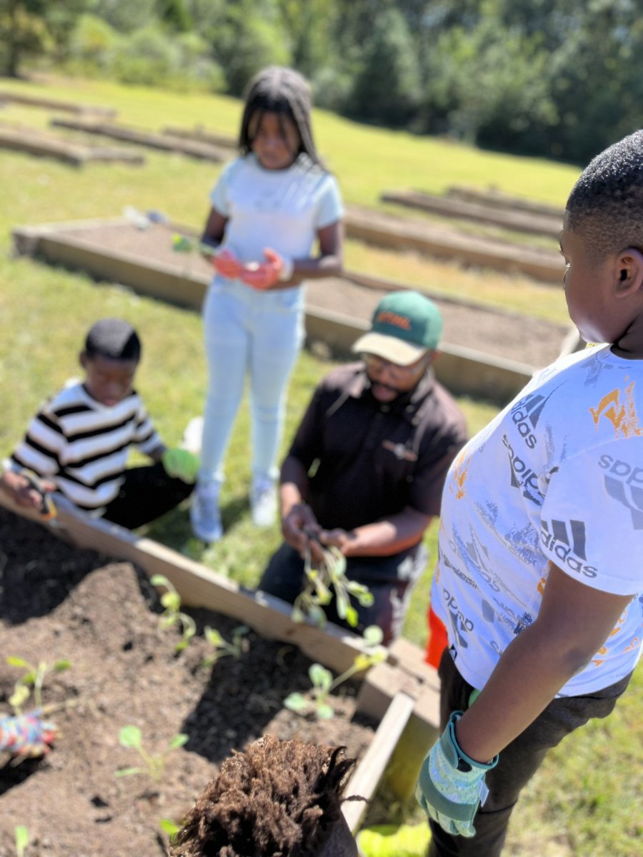 TomanekkaI's tweet photo. Shoutout to Mr. @TravesHyman for always being just a phone call away!!! The @OakleyTigers Farm appreciates you so much!!
#collardgreens π₯¬ #turning the soil #fallgardenprep https://t.co/mhowLNLzkq