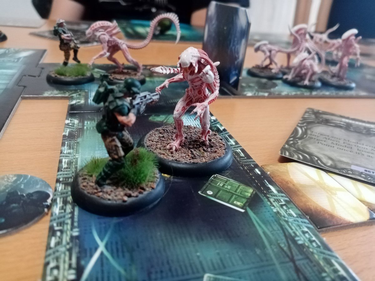 PotanCZ's tweet photo. It was great to play 3 players AvP after few years. 👌🏻Lovely underrated game. - #miniaturewargaming #wargames ##tabletopgames #wargames #wargaming #paintingminiatures - #avp #thehuntbegins #alienversuspredator #predator #prodos #prodosgames  #avpthehuntbegins #alienvspredator https://t.co/I0tFHzsx4C