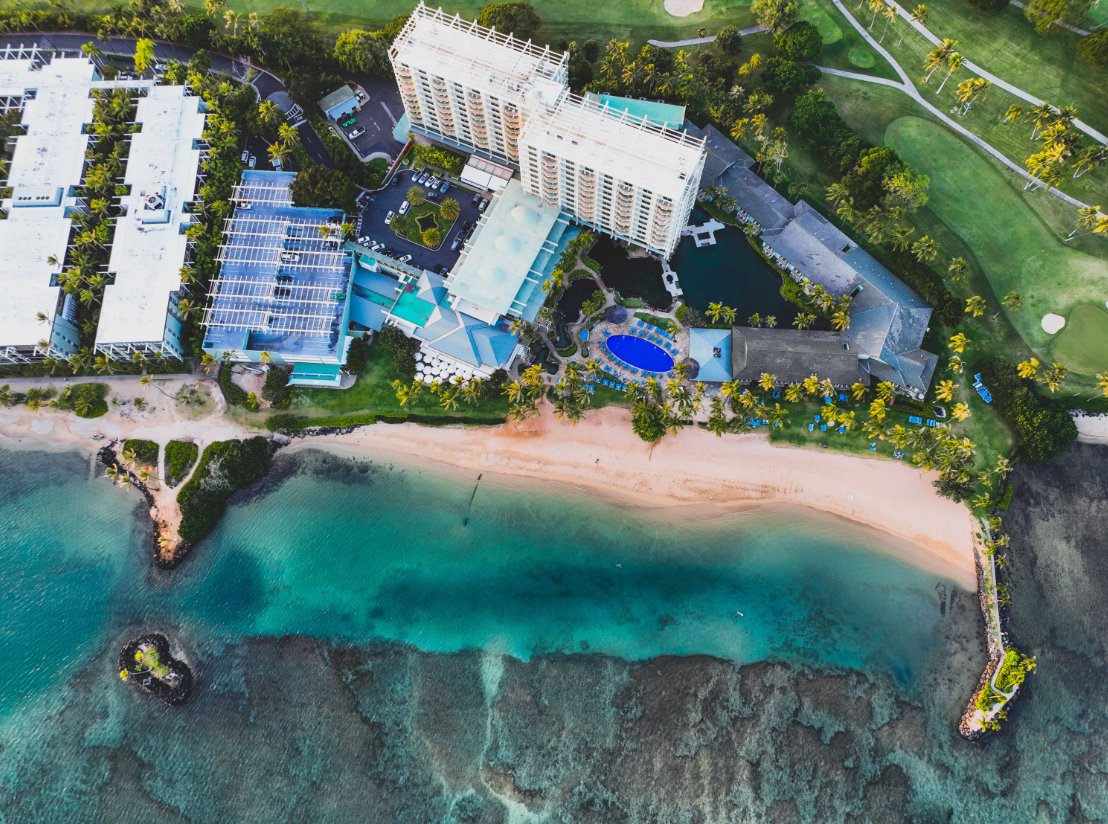 KahalaResort's tweet photo. Join us on this Thursday, September 29th for our next Sunset Seminar Series: Rare Plant Conservation on Oʻahu, Kona Moku, and the South Easter Koʻolau Mountains. 6-7 p.m. Reserve your seat today. RSVP: https://t.co/KRRfQRNjaM #oceanparadise #sunsetseries https://t.co/5YsAho3Rlm