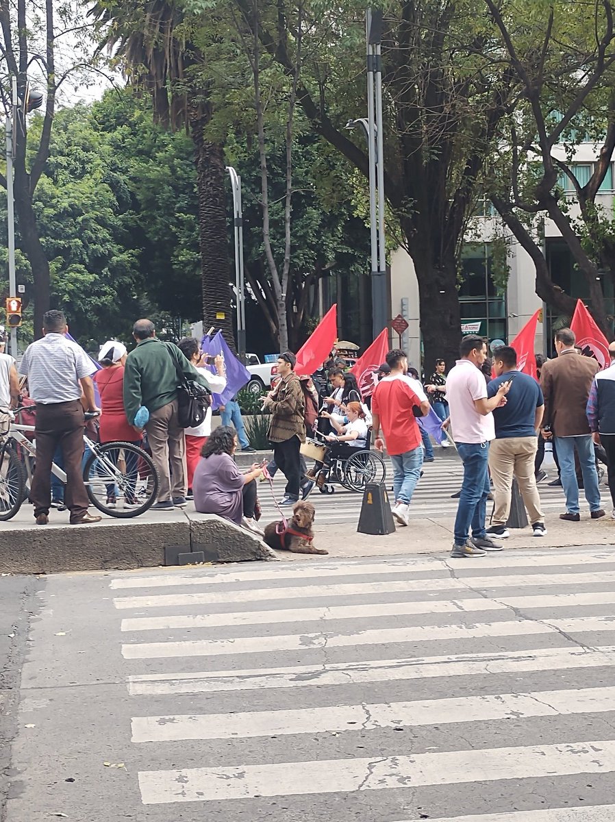 toarmandito's tweet photo. Manifestación. . . https://t.co/muitXOemLt