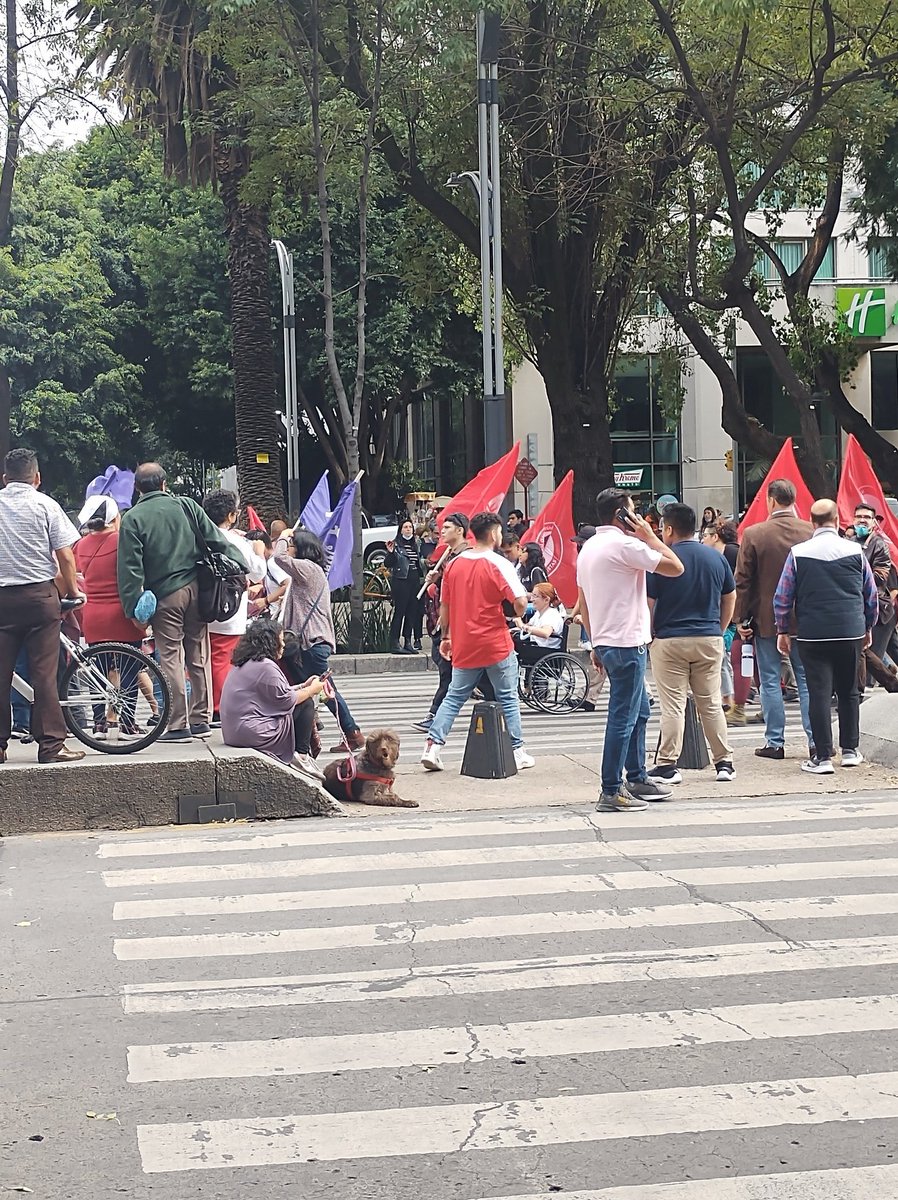 toarmandito's tweet photo. Manifestación. . . https://t.co/muitXOemLt