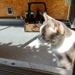 ツイートに含まれる画像