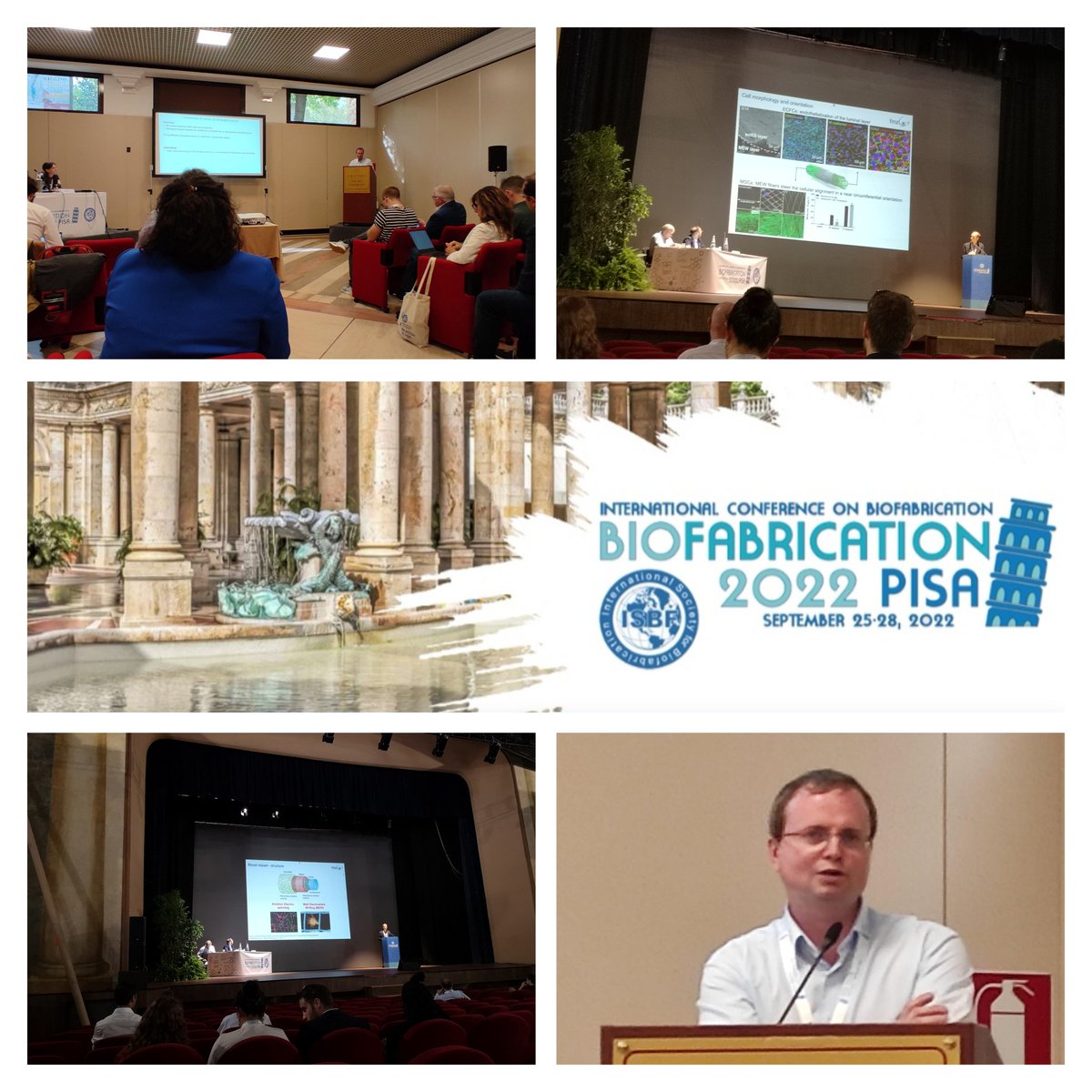 SFB_TRR225's tweet photo. It's talk time @Biofab2022. 🗣️💬Top topics such as #vascularisation, #bioinks and #4d #bioprinting were excellent represented by @SFB_TRR225 scientists at all levels... from PhD students to distinguished senior PIs. https://t.co/dxfeR36PkY